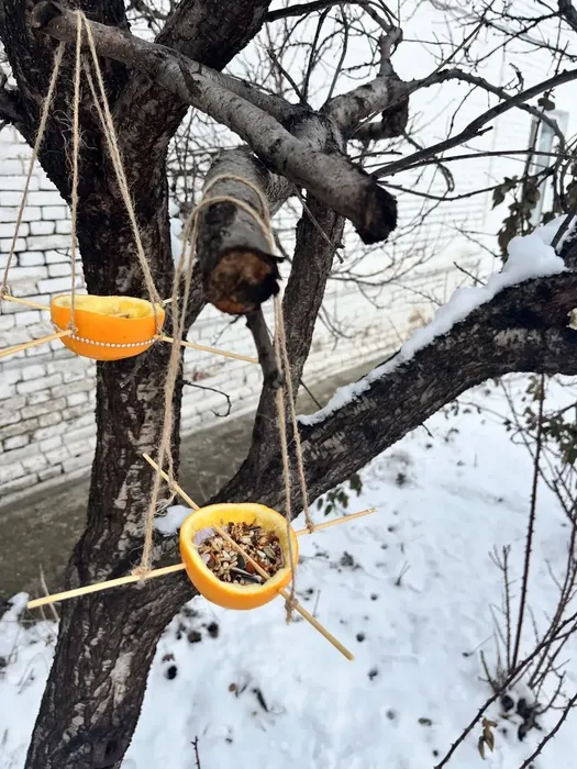 187bbf9e-6797-4b5f-9f2b-ff2529d131db